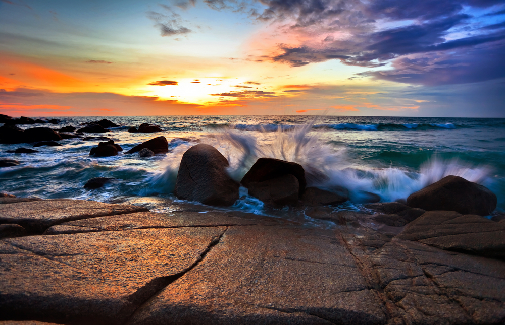 Фото: 