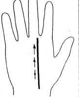 ����� �������