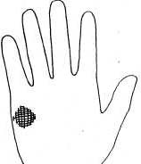 ���� ����� ������