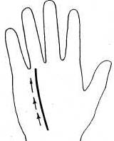 ����� ��������