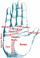 Опубликованное фото